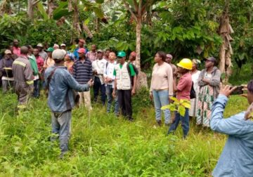 Redynamisation de la culture du cacao dans le Woleu-Ntem : Des séances de formation au village Nylon (Minvoul)