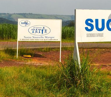 Gabon /Pénurie persistante : Après la pénurie d’huile de palme raffinée, le tour est au sucre  raffiné en morceau