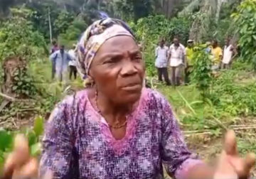 Moyen-Ogooué/Village Nkogh-Mboun dans le canton Mbiné : Les éléphants alimentent la famine