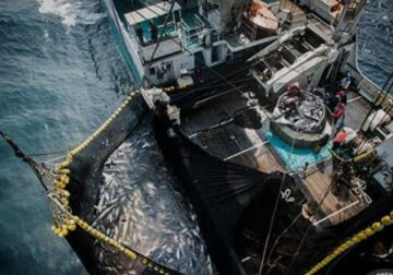 Valorisation du potentiel gabonais : Le gouvernement remet en question l’accord de pêche avec l’Union Européenne