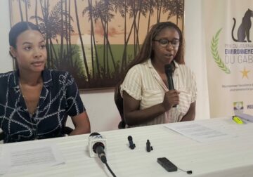 Gabon : WILDAID lance le premier prix du journalisme environnemental