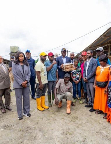 Gabon/Agriculture et souveraineté alimentaire : le Président Oligui Nguema en visite à la ferme BTF Farming