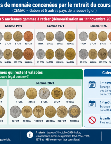Monnaie / Retrait des anciennes pièces : à Libreville, des commerçants anticipent illégalement la démonétisation